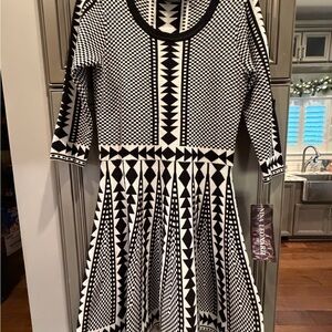 Stylish Black and White Dress